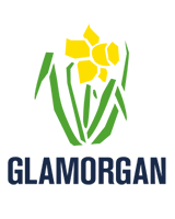 Glamorgan County Cricket Club logo